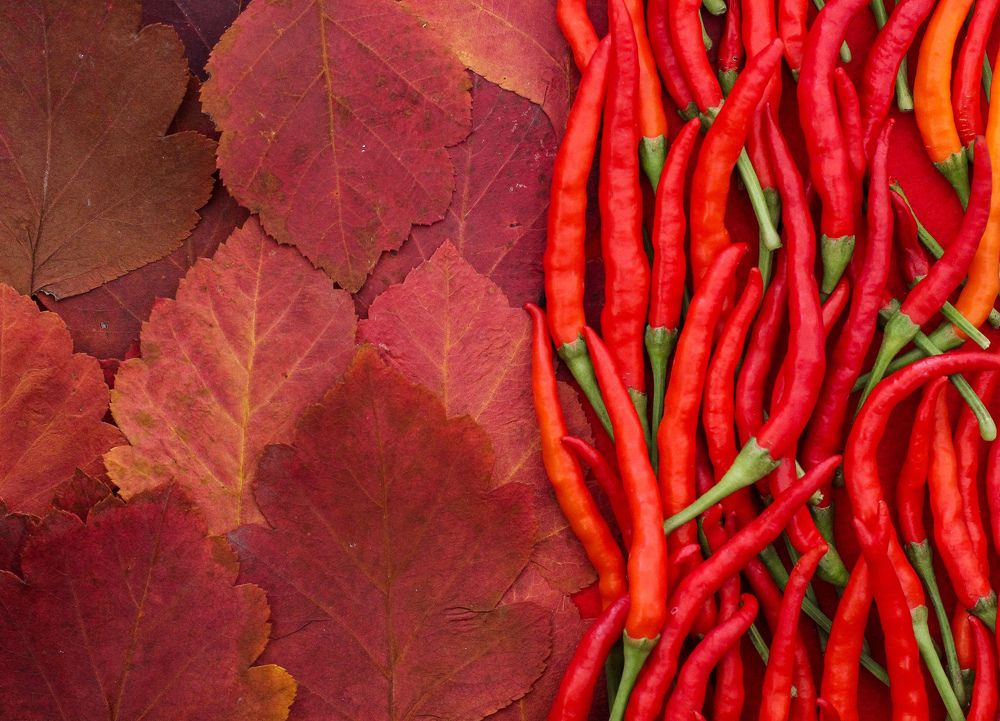 Photograph by Лилия Алексеева