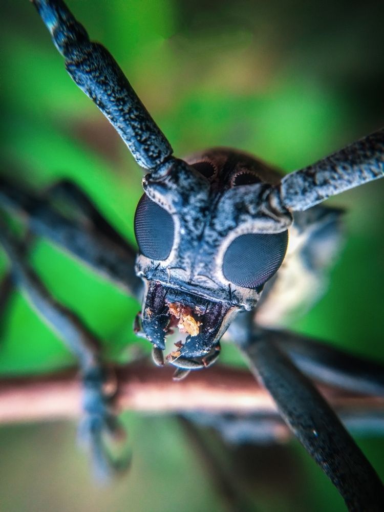 Photograph by lahiru sandaruwan
