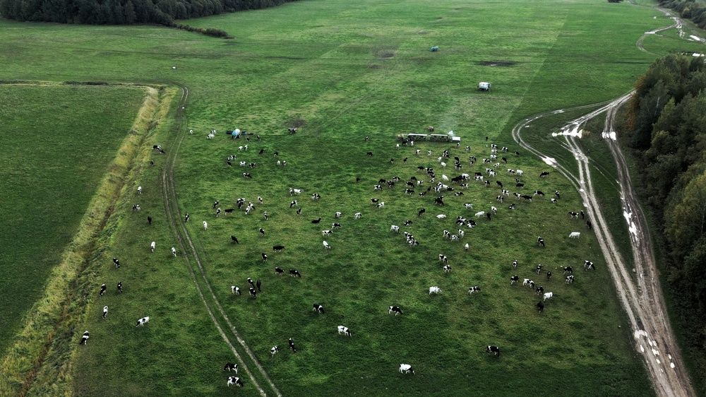 Photograph by Андрей Нурулин