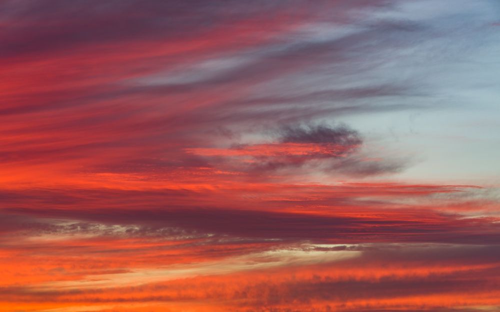 Фотография автора Максин Александр