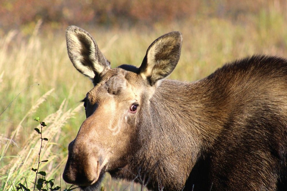 Photograph by Jared Solberg