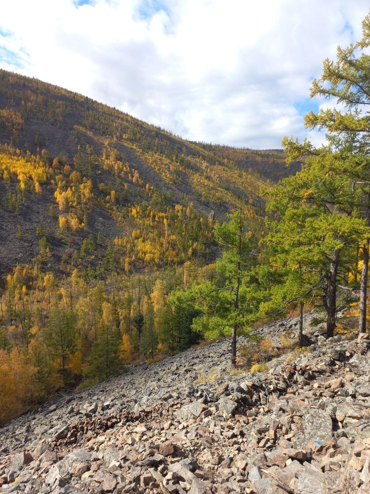 Фотография автора Пешков Егор