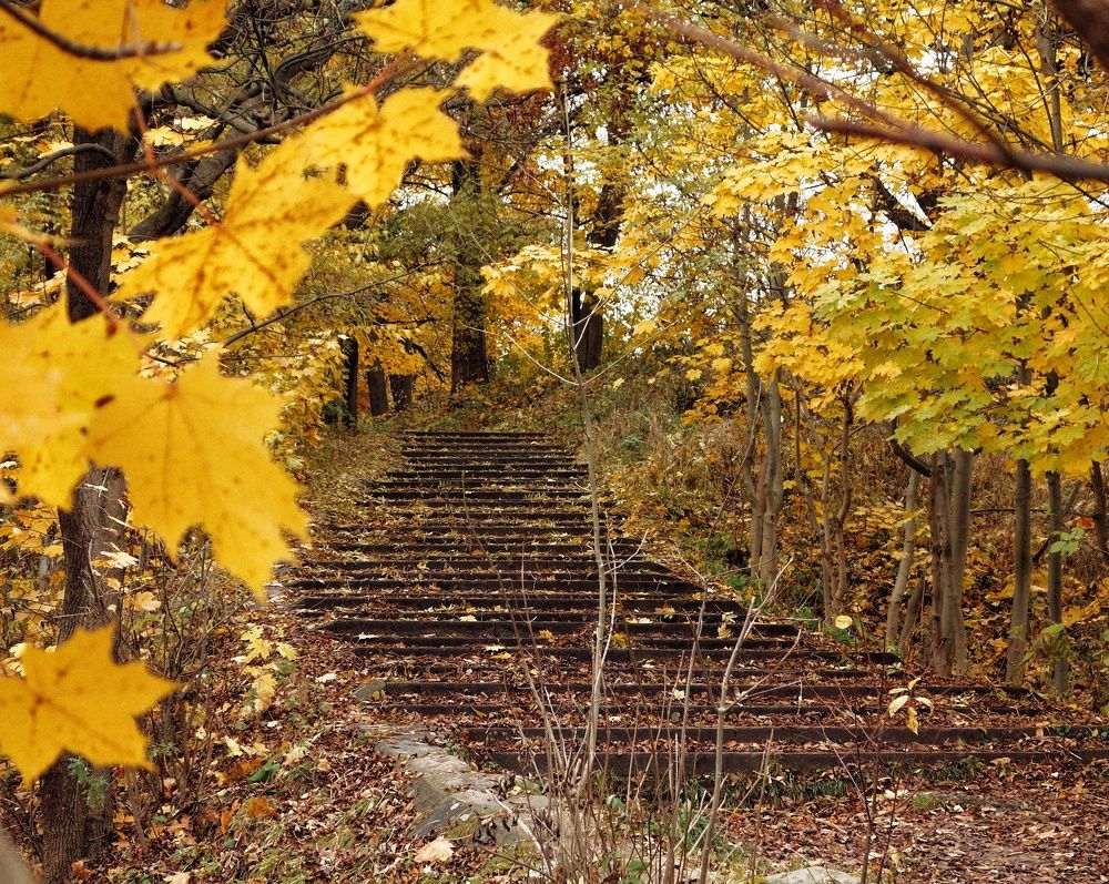 Photograph by Василий Селиванов