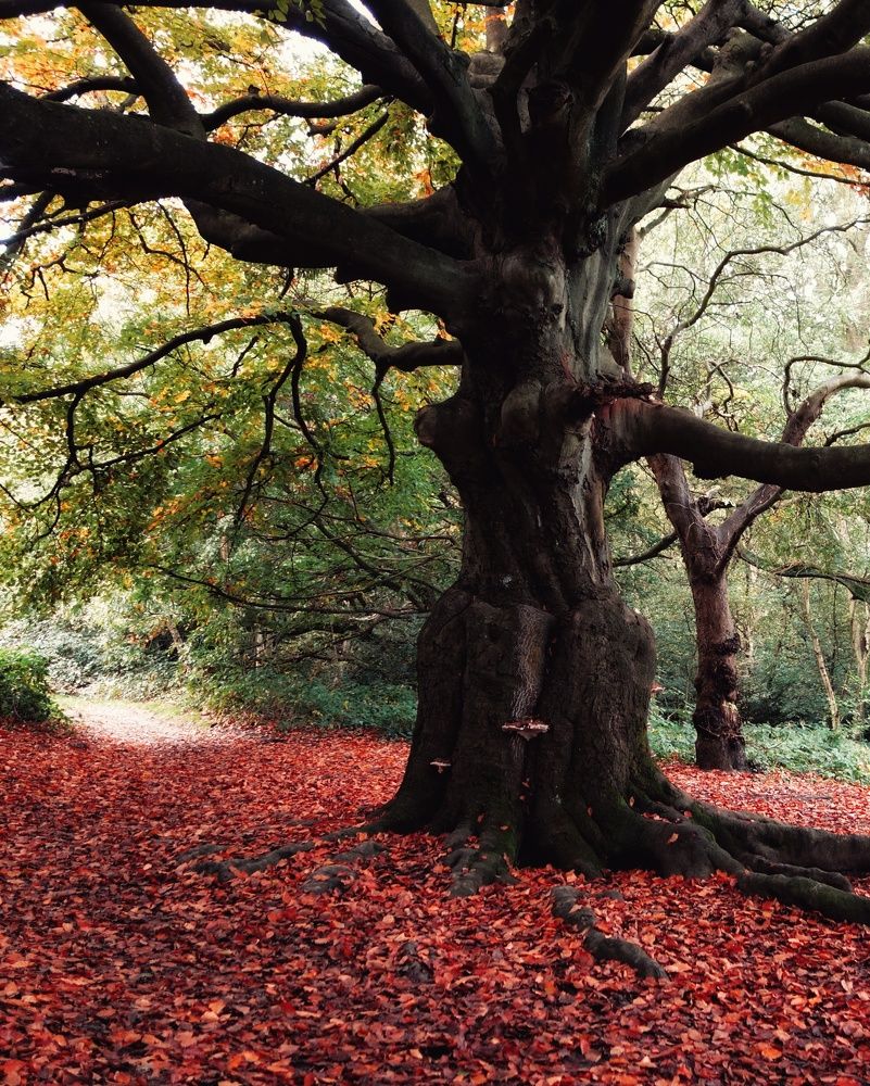 Photograph by Василий Селиванов