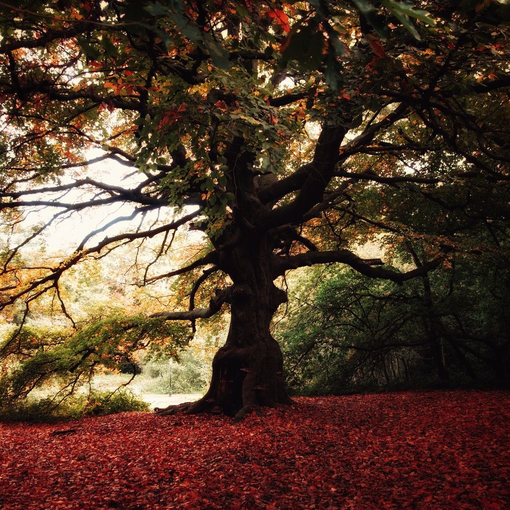 Photograph by Василий Селиванов