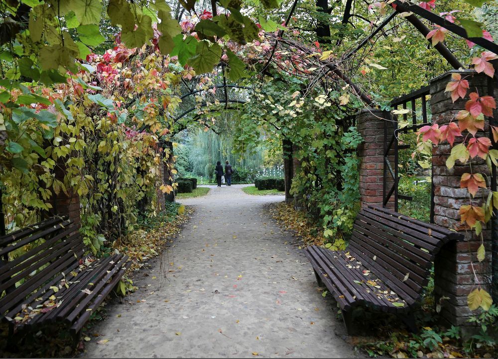 Photograph by Наталья Задерновская