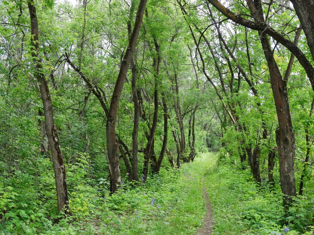 Photograph by Николай Худяков