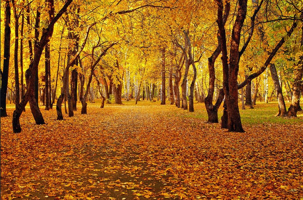 Photograph by Николай Кандауров