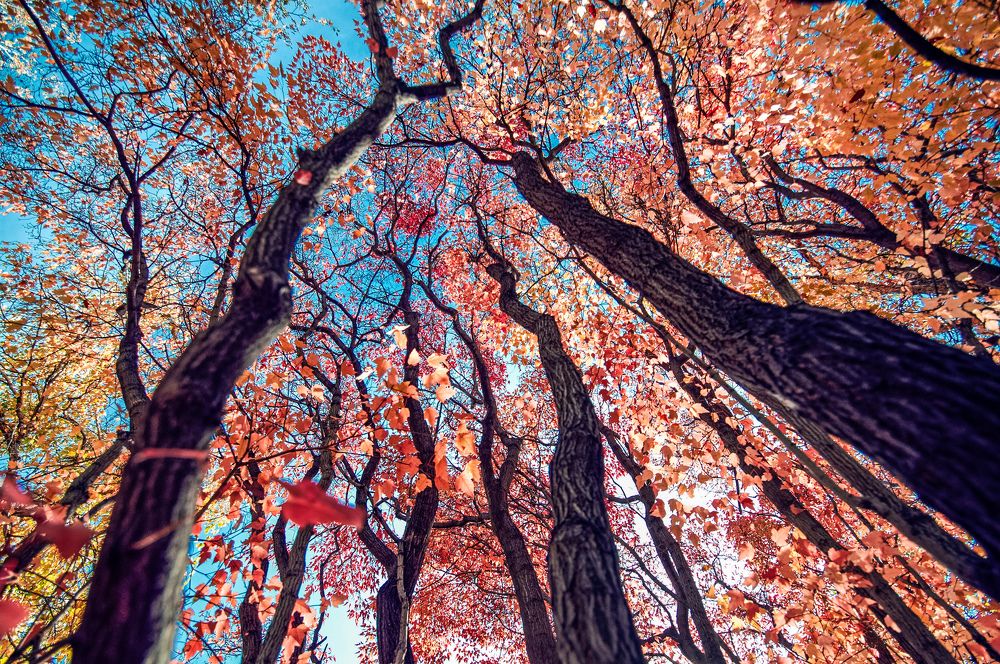 Photograph by Анастасия Сахаревич