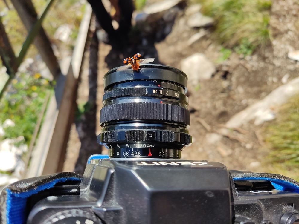 Photograph by Дмитрий Киреев