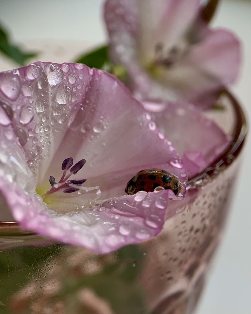 Photograph by Надежда Смирнова