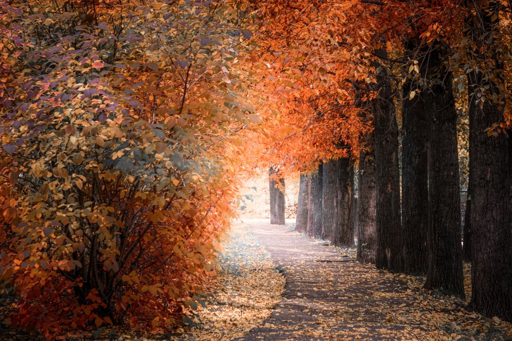 Photograph by Кирилл Богомазов