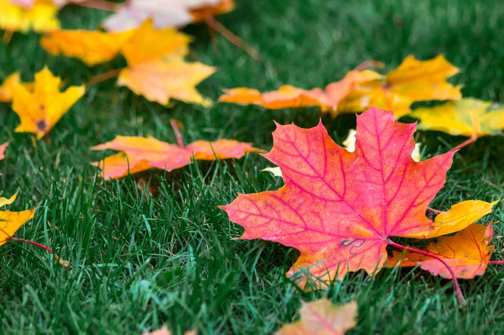 Photograph by Дмитрий Тимин