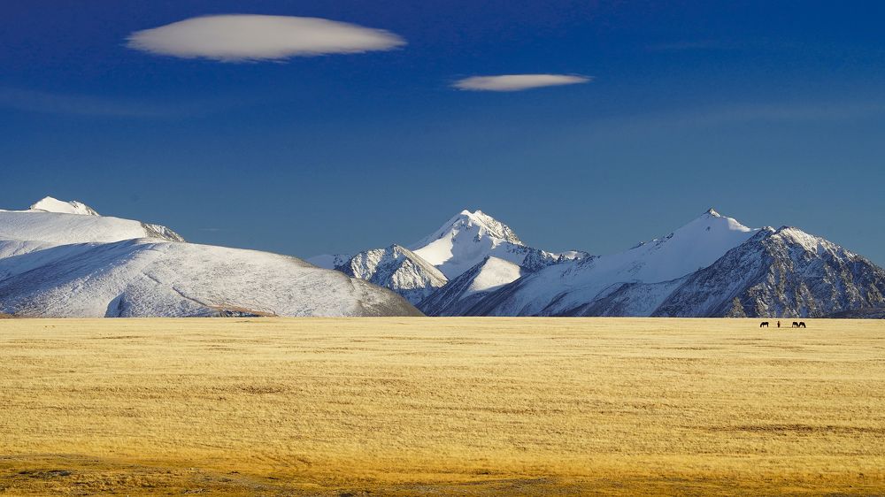 Фотография автора Андрей
