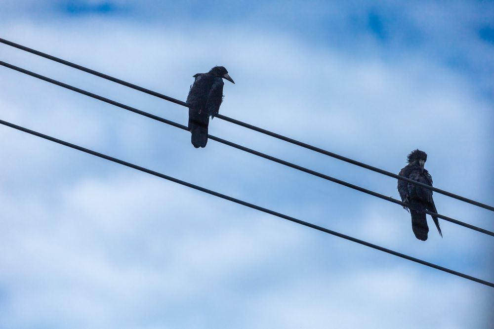 Photograph by Антон Чупин