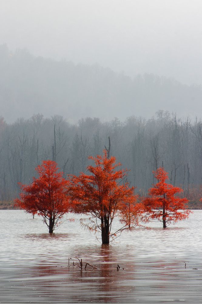 Photograph by Ali Memari