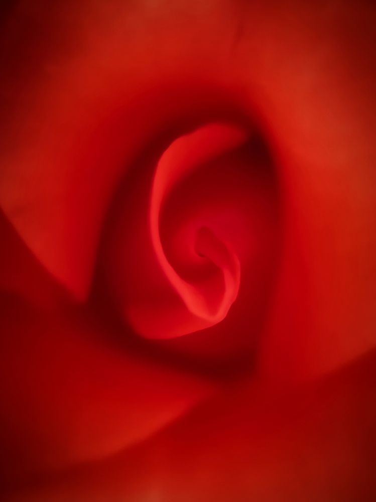 Photograph by Оксана Маракушина