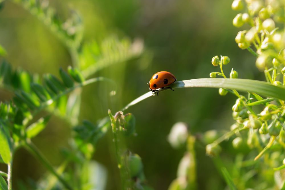 Photograph by Наталья Иванова