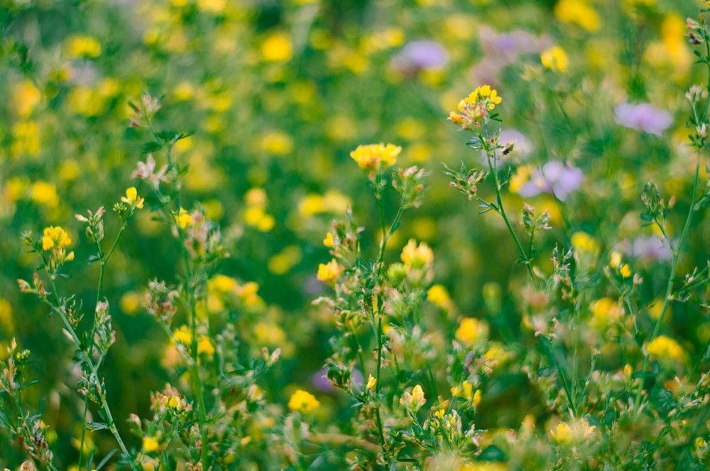 Фотография автора Юлия Волчкова