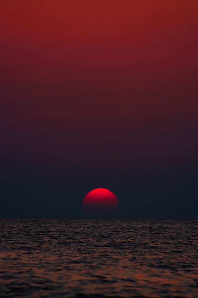 Photograph by Ali Memari