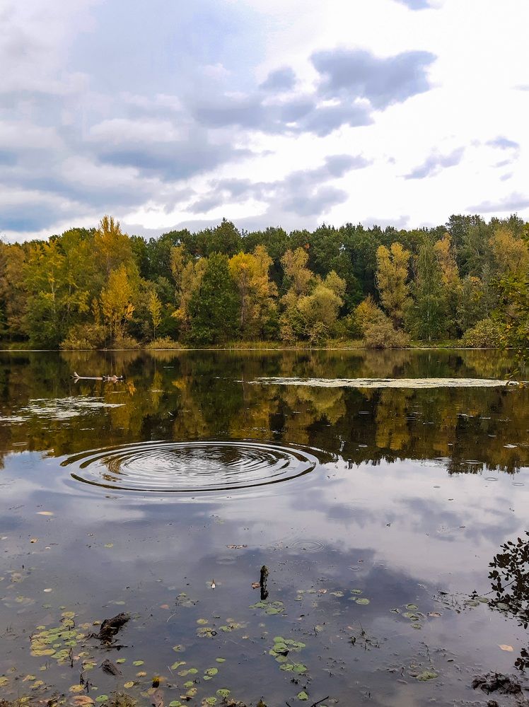 Photograph by Людмила