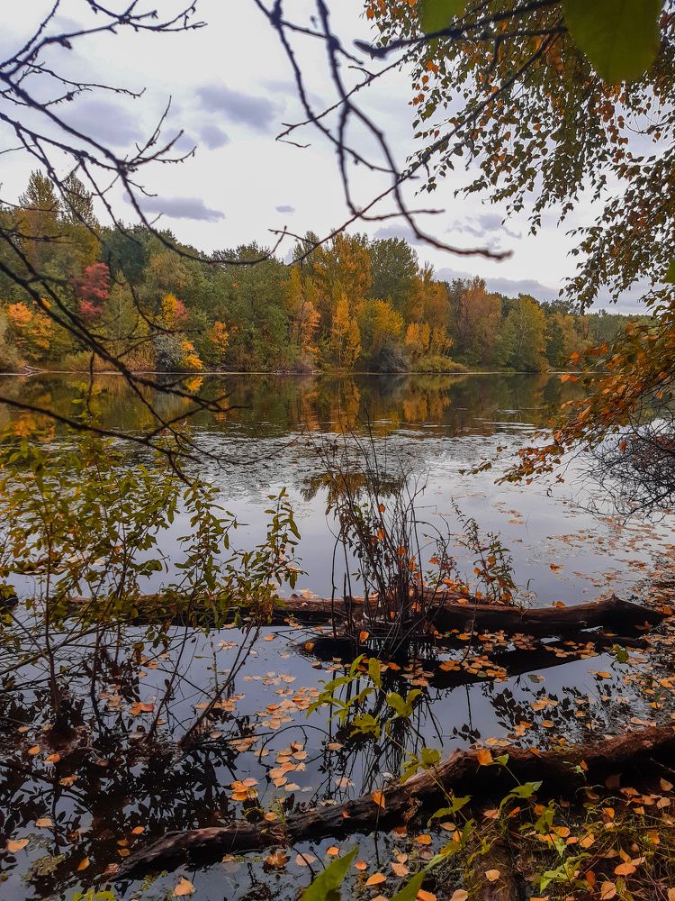 Photograph by Людмила