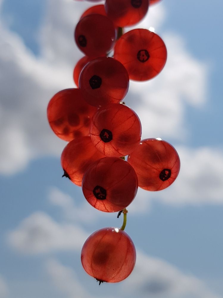 Photograph by Оксана Крылович
