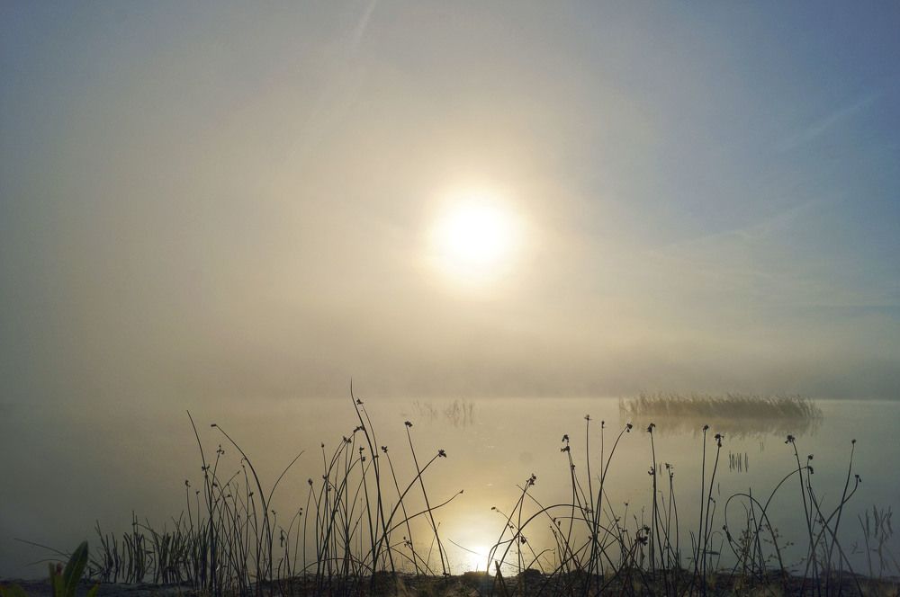 Photograph by Мишустина Татьяна