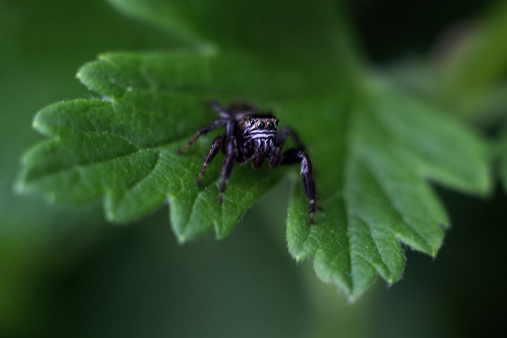 Photograph by Наталья Иванова