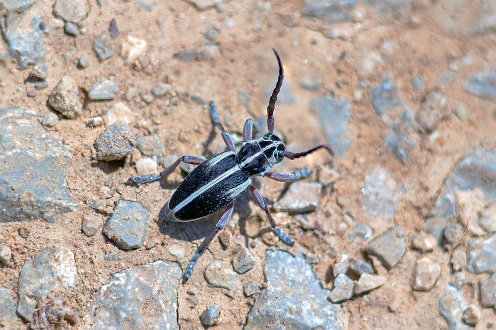 Photograph by Matko Matkovic