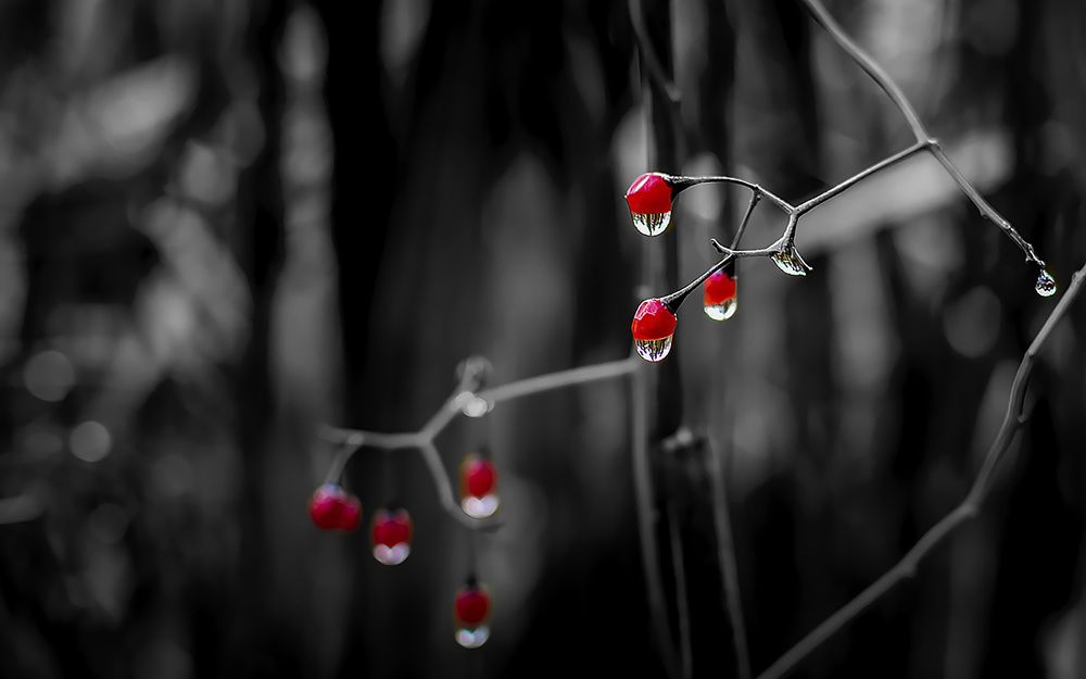 Photograph by Rihards Misāns