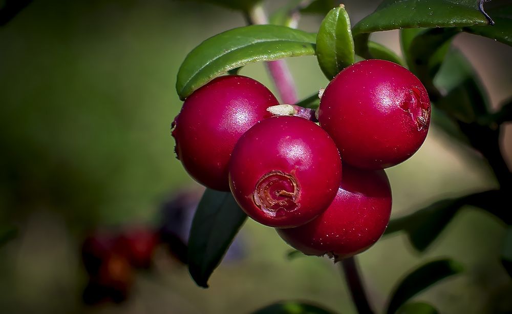 Photograph by Rihards Misāns