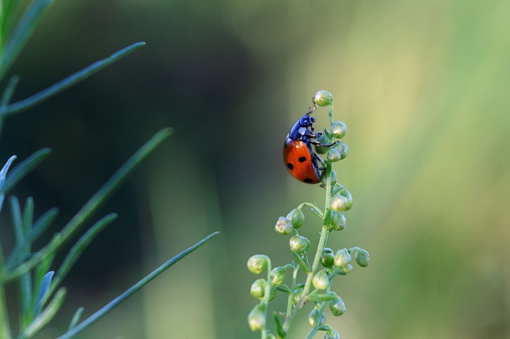 Photograph by Наталья Иванова
