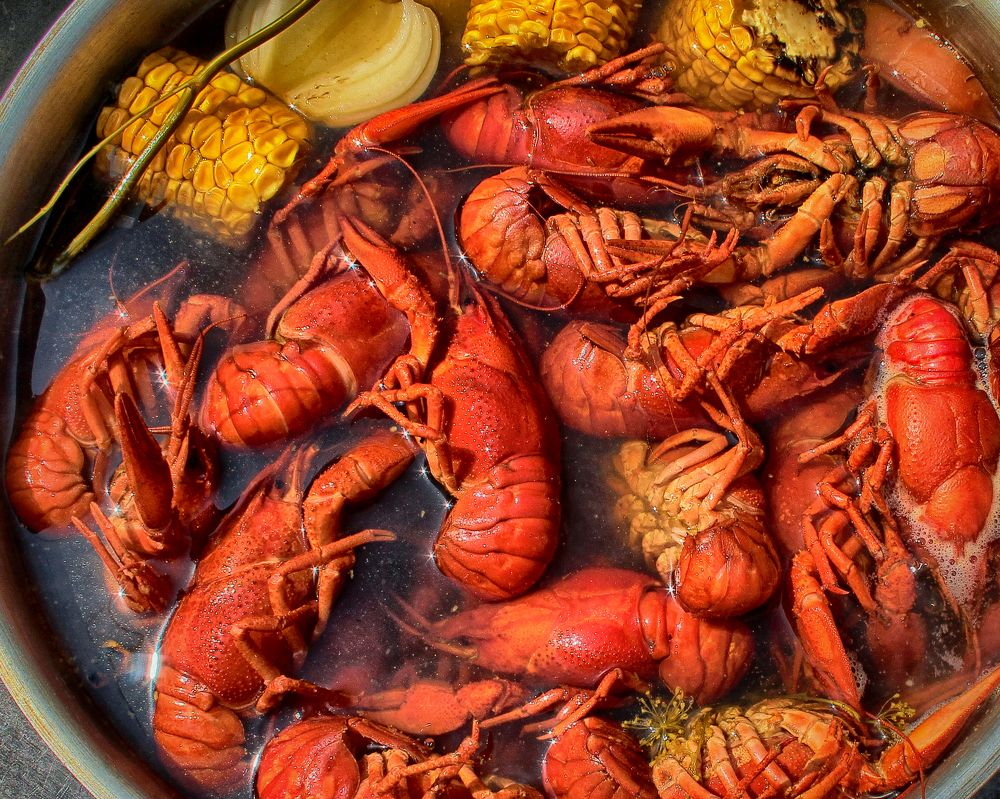 Photograph by Vitaliy Saposhnikov