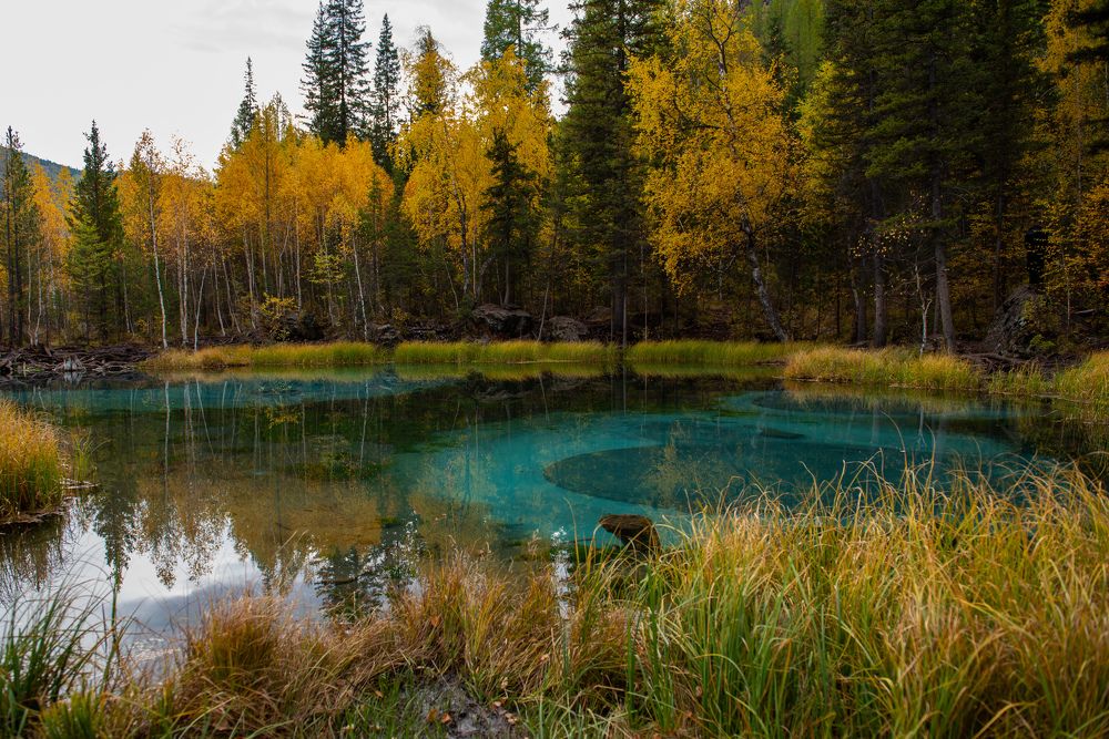 Photograph by Дарья Белых