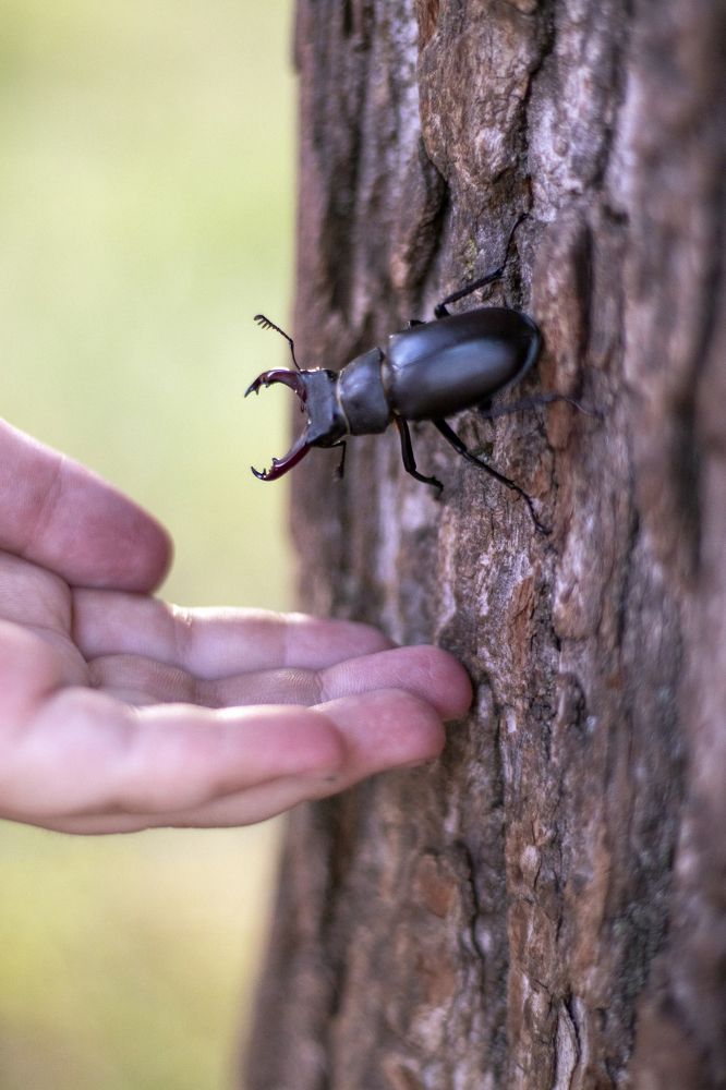 Photograph by Олеся Бучацька