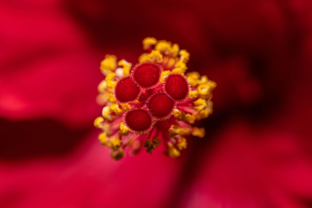 Photograph by Francisco José López Fernández