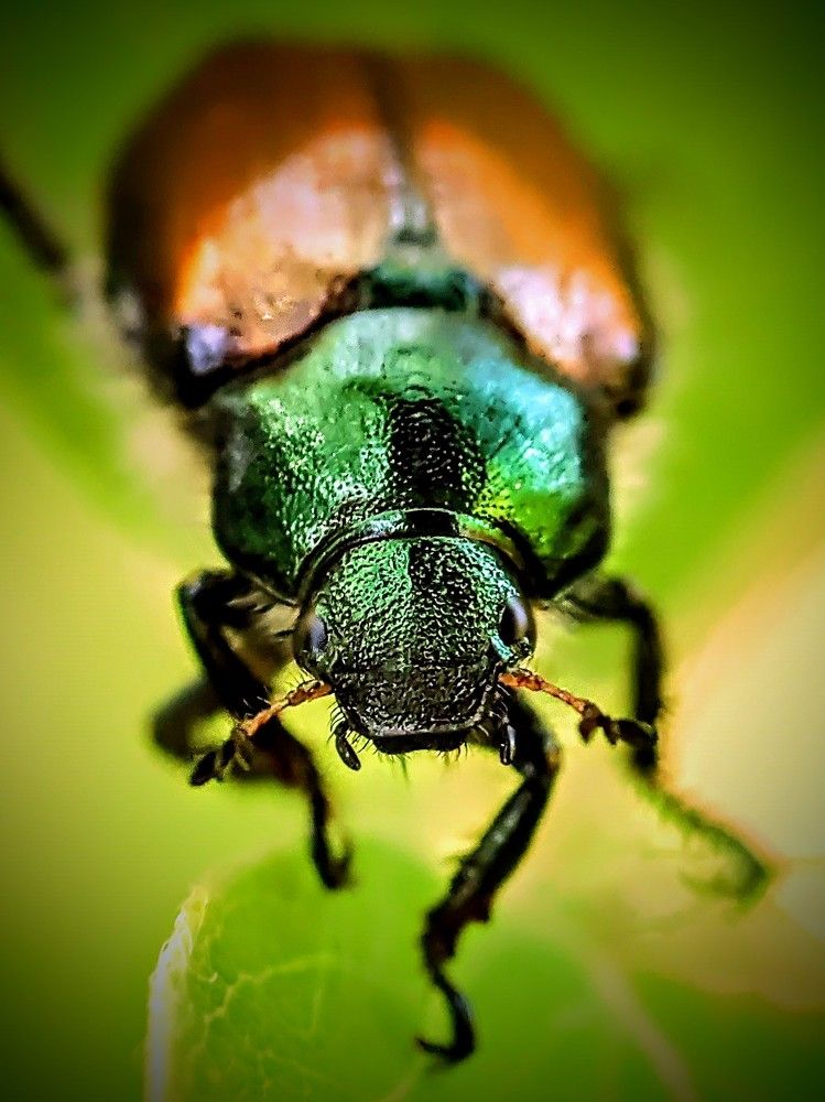 Photograph by Дмитрий Кузнецов