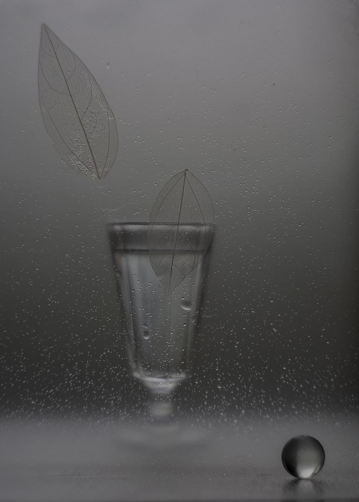 Photograph by Svoboda Andreeva