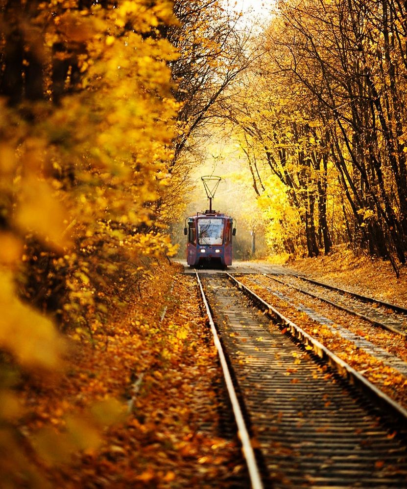 Photograph by Татьяна Мазепова