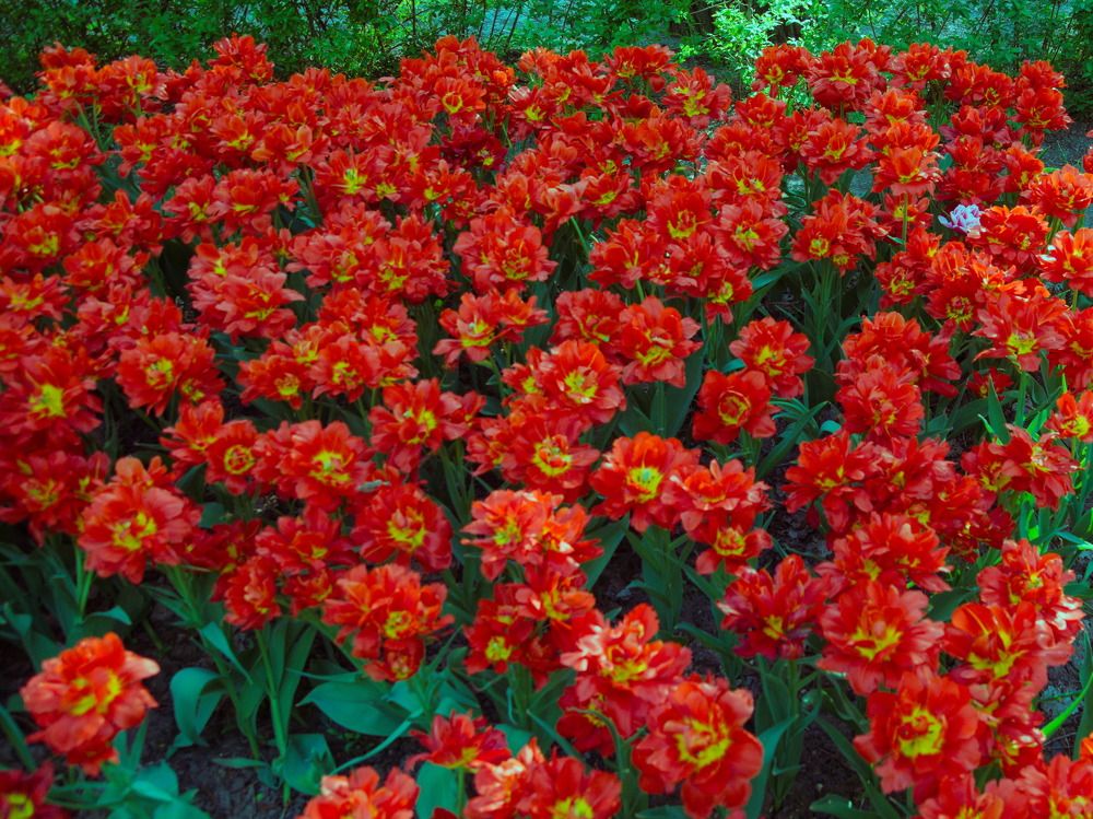 Photograph by Башлаев Константин