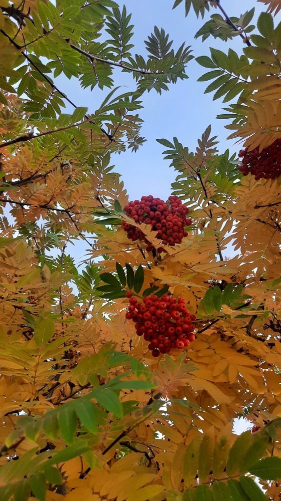 Photograph by Карина Праведникова