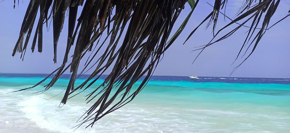 Photograph by Татьяна Мазепова