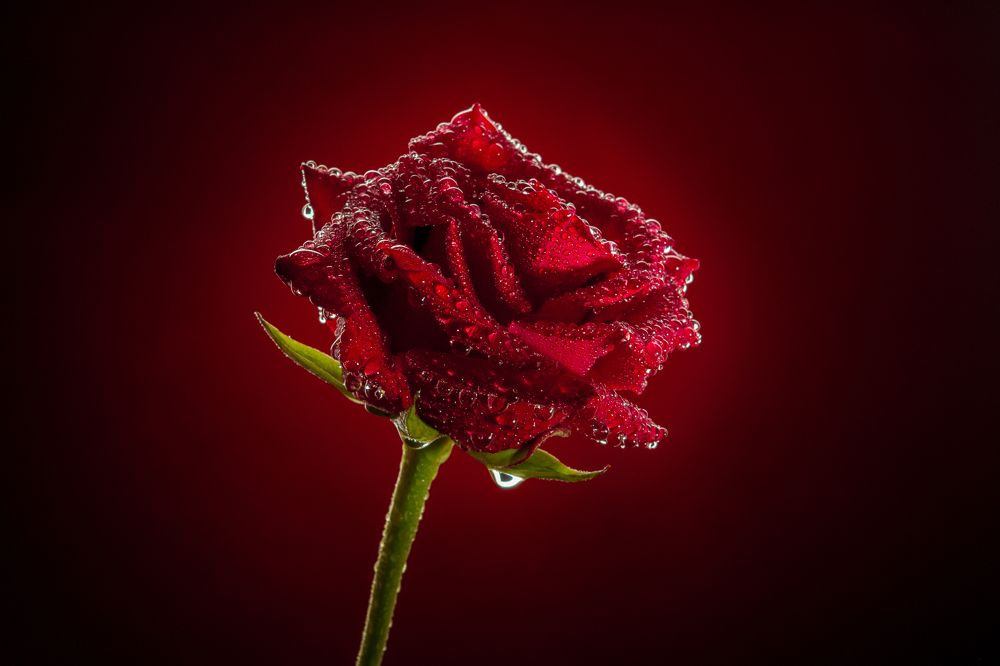 Photograph by Андрей Егоров