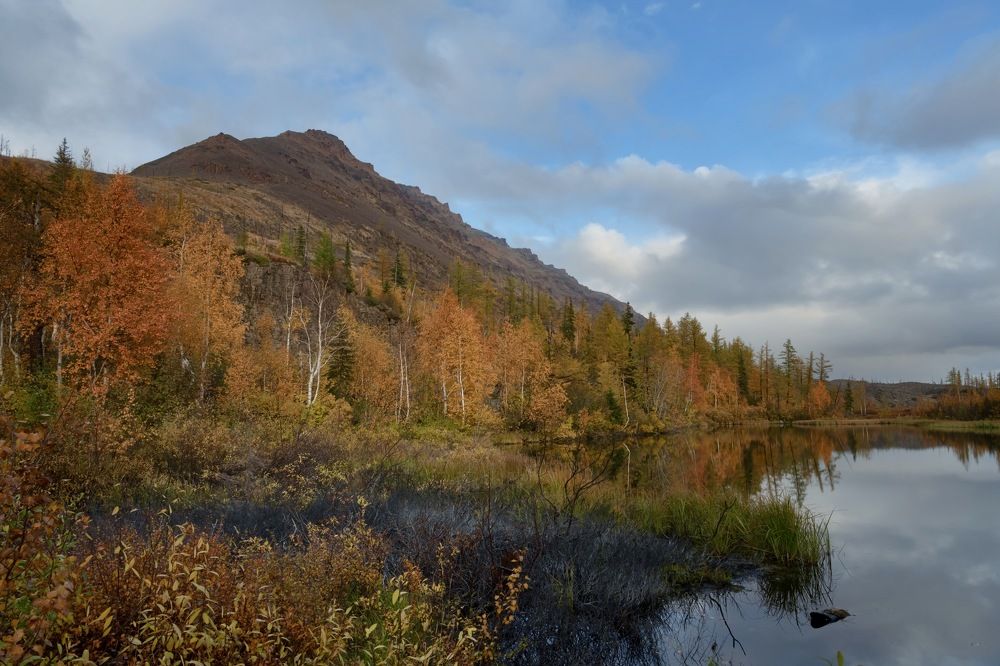 Photograph by Ирина Ульянова