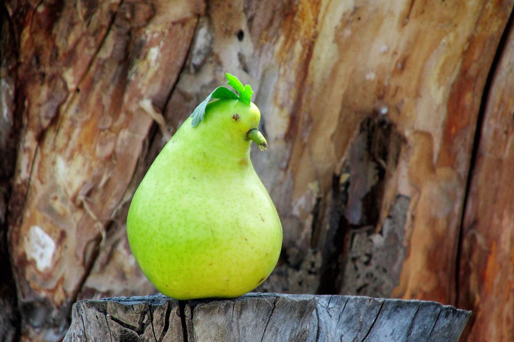 Photograph by Андрей Егоров