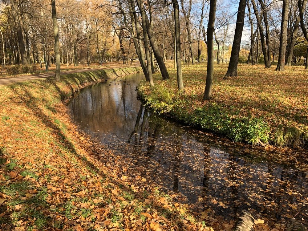 Photograph by Мария Бессмертная