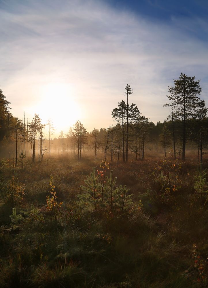 Photograph by Дмитрий Петухов