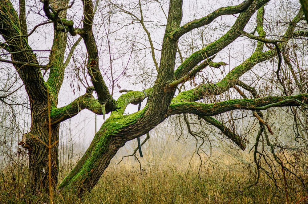 Photograph by Андрей Егоров