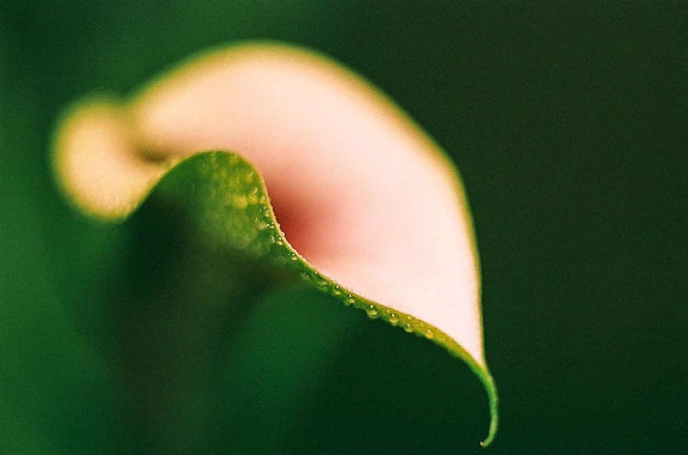 Photograph by Андрей Егоров